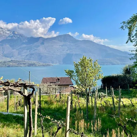 Fontana By Interhome Lägenhet